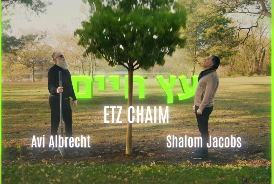 Shalom Jacobs & Avi Albrecht